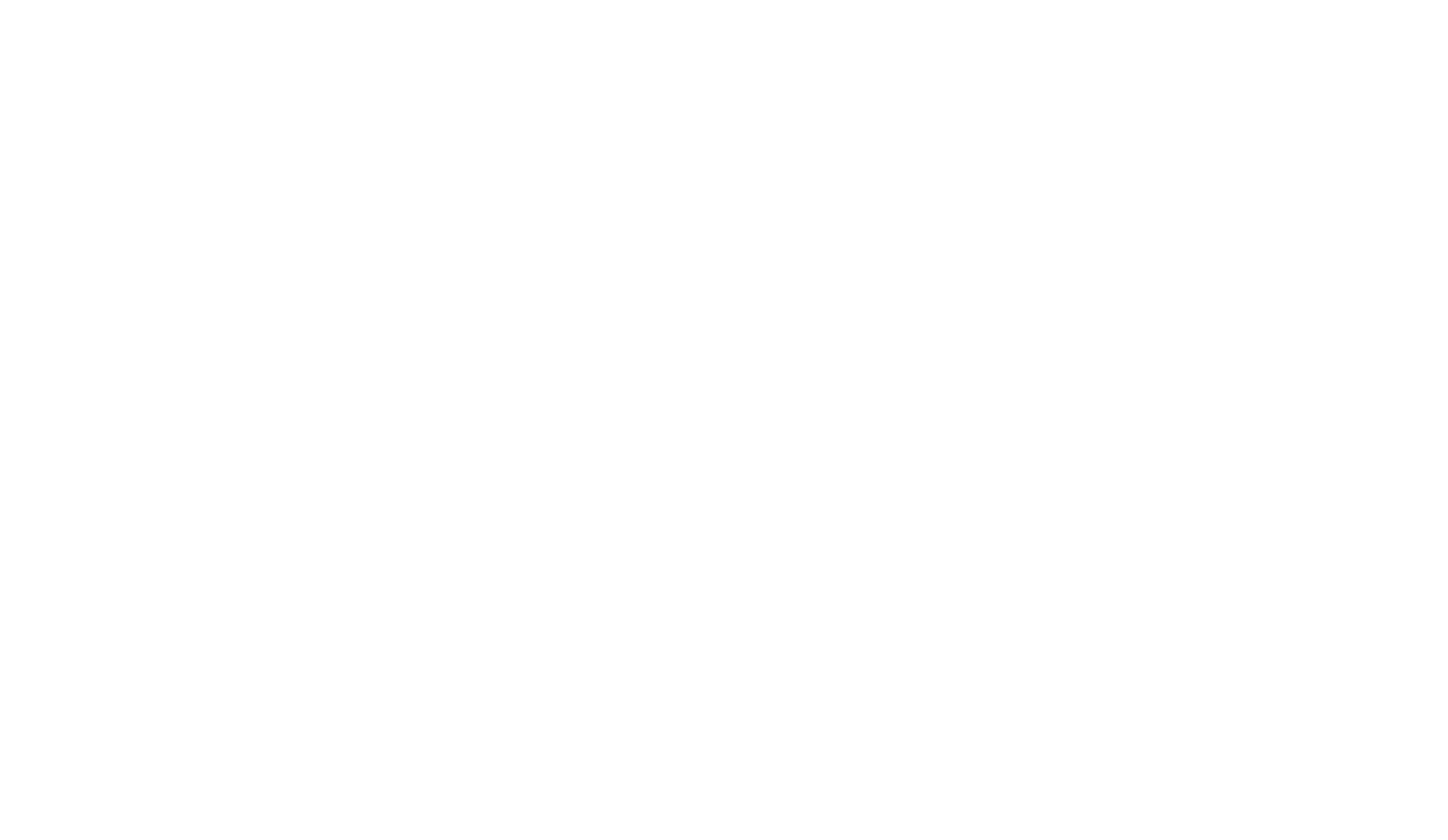 DANS GROUP LOGO
